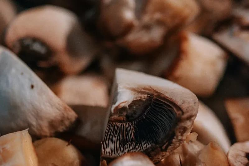 Sliced mushrooms showing natural texture