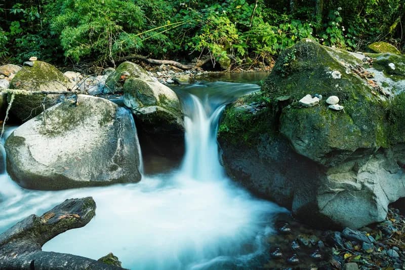 Small waterfall on creek in woods
